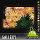 Amphasia Resizable Vertical Gallery w Scroller