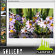Kelssar Resizable Gallery