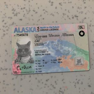 Alaska Driver License Template New