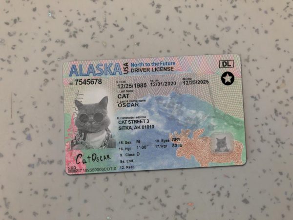 Alaska Driver License Template New