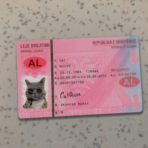 Albania Driver License Template