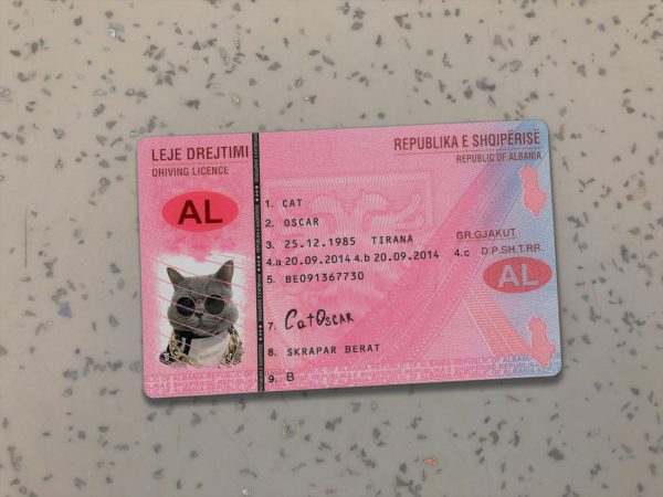 Albania Driver License Template