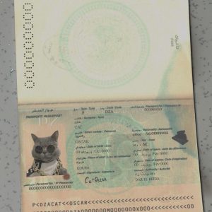Algeria Passport Template