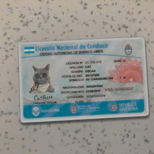 Argentina Driver License Template