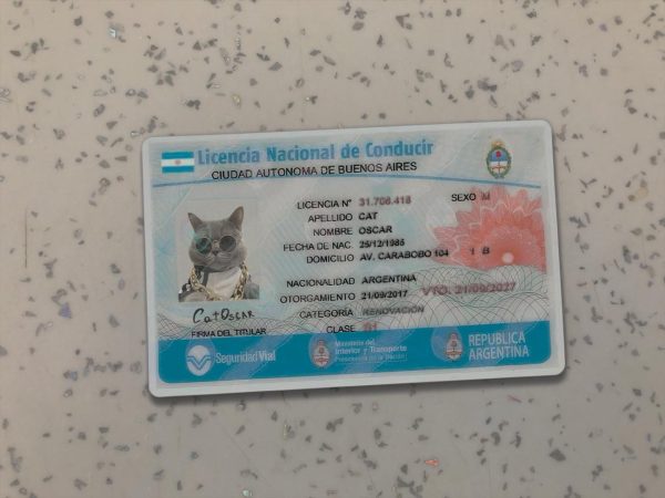 Argentina Driver License Template