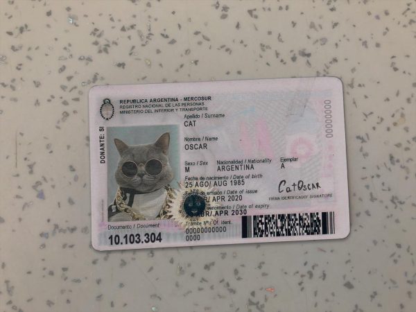 Argentina Identity Card Template