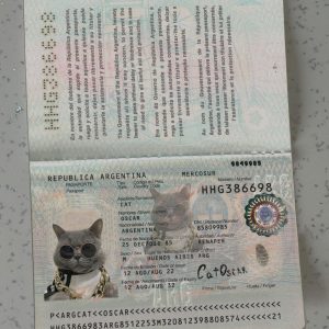 Argentina Passport Template
