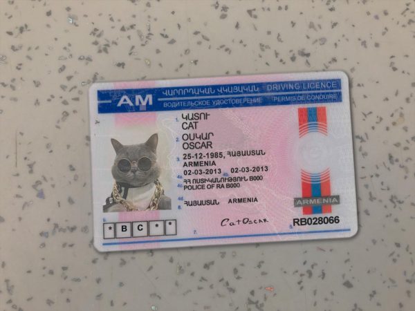 Armenia Driver License Template
