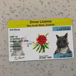 Australia NSW Driver License Template