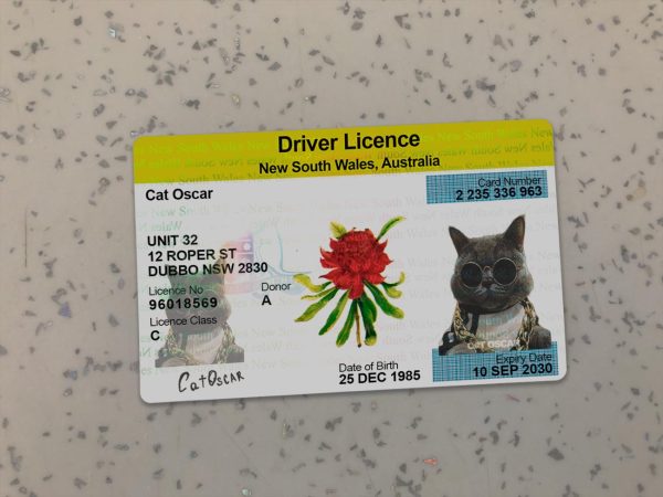 Australia NSW Driver License Template