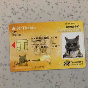 Australia Queensland Driver License Template