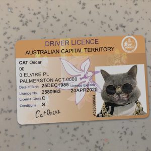 Australian Capital Driver License Template