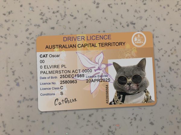 Australian Capital Driver License Template
