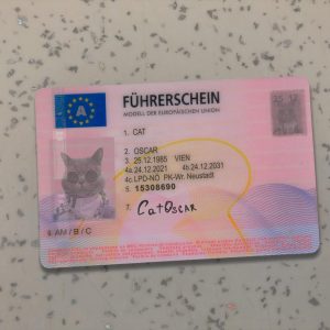 Austria Driver License Template