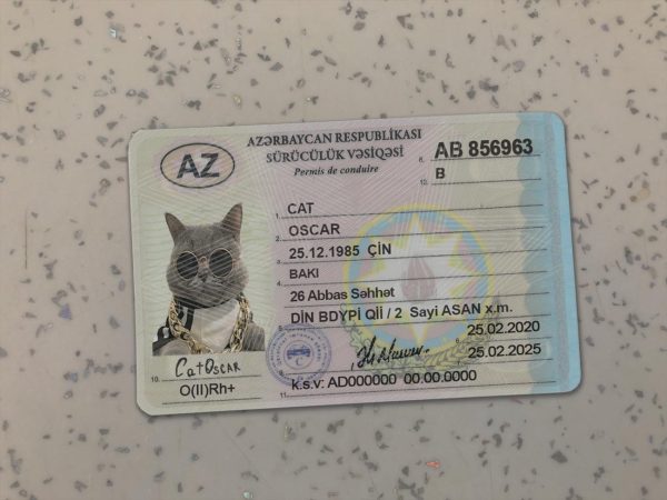 Azerbaijan Driver License Template