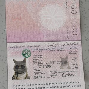 Bahrain Passport Template