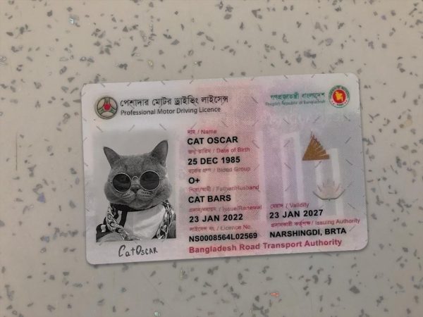 Bangladesh Driver License Template