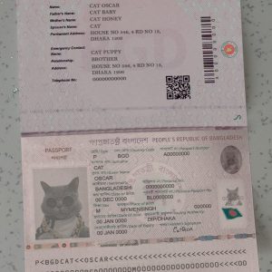 Bangladesh Passport Template