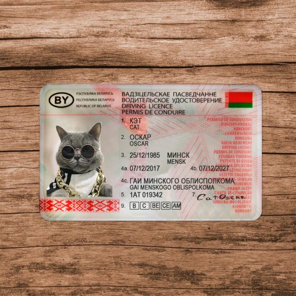 Belarus Driver License Template