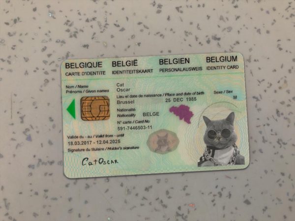 Belgium Identity Card Template