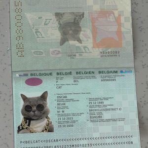 Belgium Passport Template