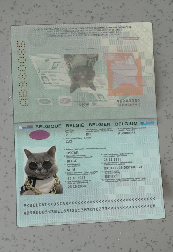 Belgium Passport Template