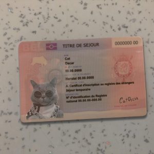 Belgium Permanent Residence Card Template