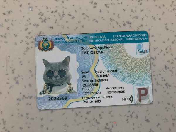 Bolivia Driver License Template