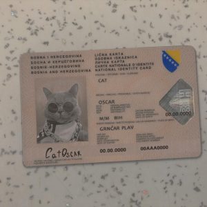 Bosnia and Herzegovina Identity Card Template Template