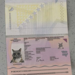 Bosnia and Herzegovina Passport Template