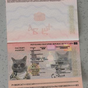 Bulgaria Passport Template