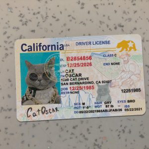 California Driver License Template New