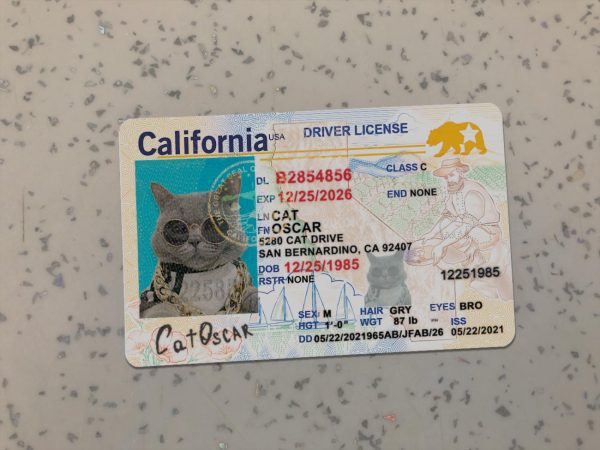 California Driver License Template New