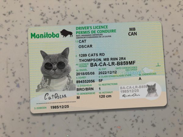 Canada Manitoba Driver License Template