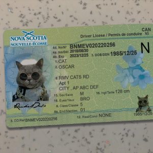 Canada Nova Scotia Driver License Template