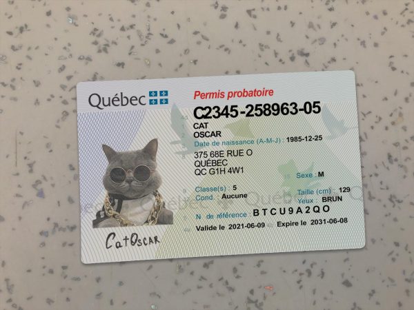 Canada Quebec Driver License Template