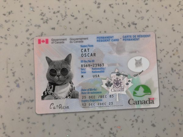 Canada Residence Permit template