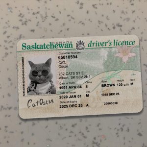 Canada Sakatchewan Driver License Template