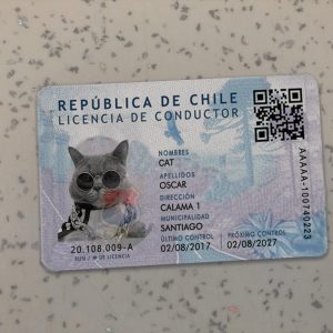Chile Driver License Template