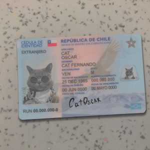 Chile Identity Card Template