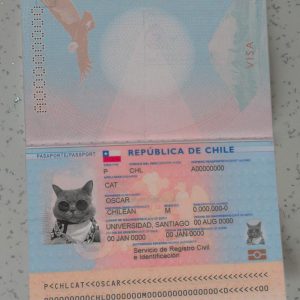Chile Passport Template