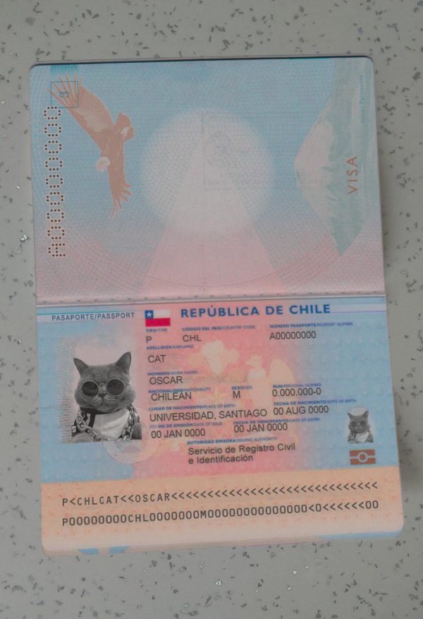 Chile Passport Template