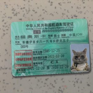 China Driver License Template