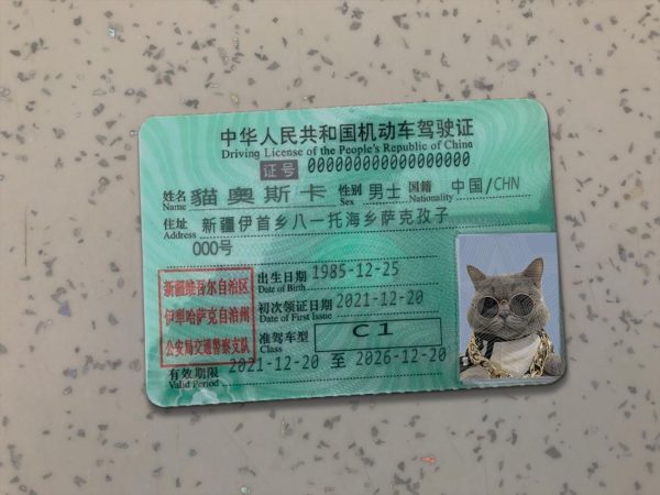 China Driver License Template