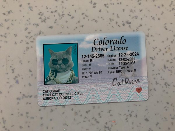Colorado Driver License Template