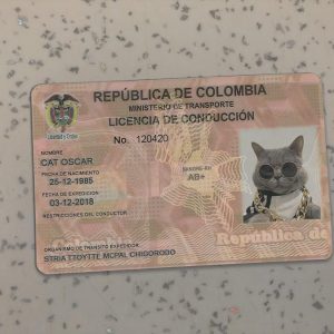 Columbia Driver License Template
