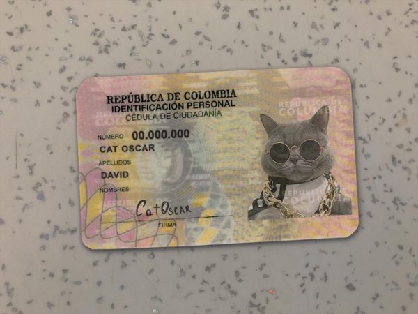 Columbia Identity Card Template