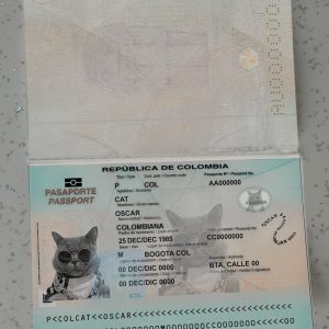 Columbia Passport Template