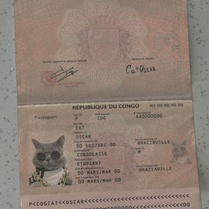 Congo Passport Template