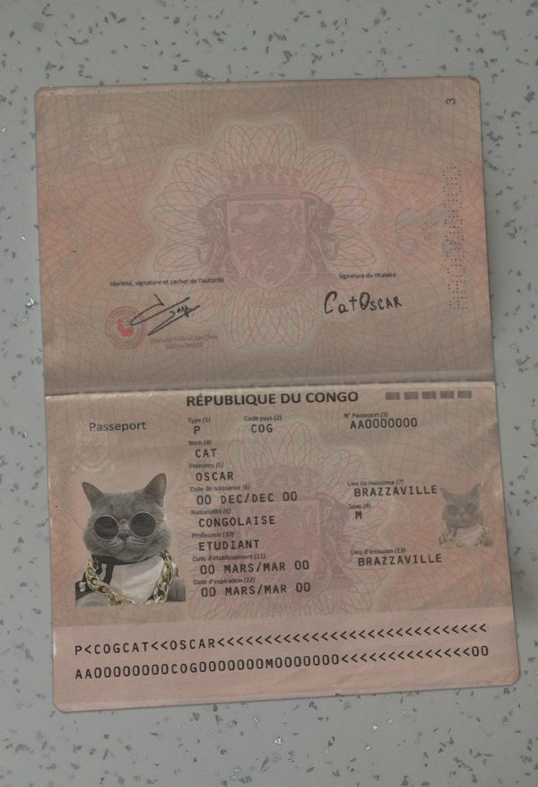 Congo Passport Template